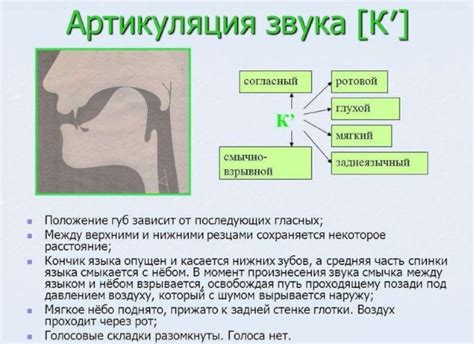 Значение понятия "постановка звука"