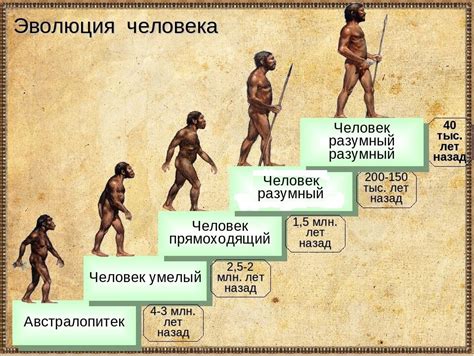 Значение понятия "человек разумный"