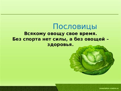 Значение пословицы "всякому овощу свое время": объяснение и примеры