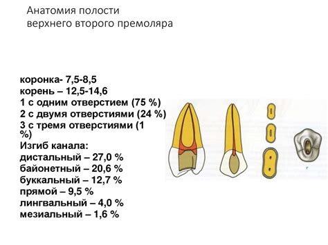 Значение потери зуба в сновидении