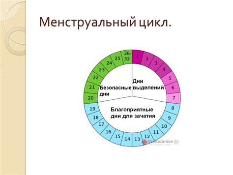 Значение правильного подсчета даты начала месячных