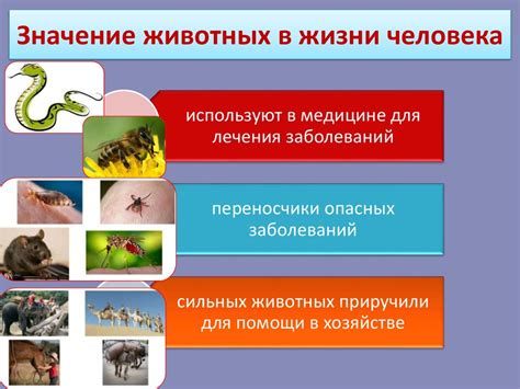 Значение предмета: роль и влияние в повседневной жизни