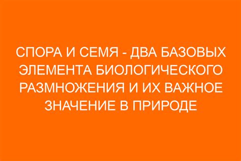 Значение предмета спора и его роль в юридическом процессе