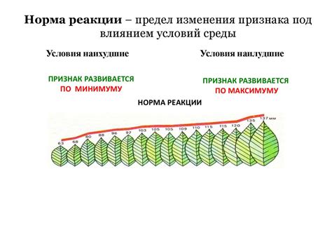 Значение признака реакции для понимания окружающей среды