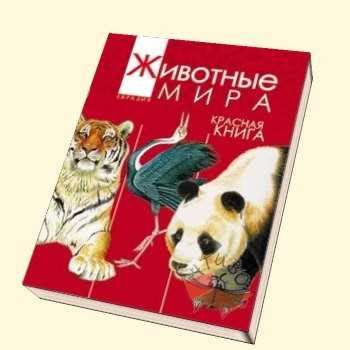 Значение присутствия красной книги во сне