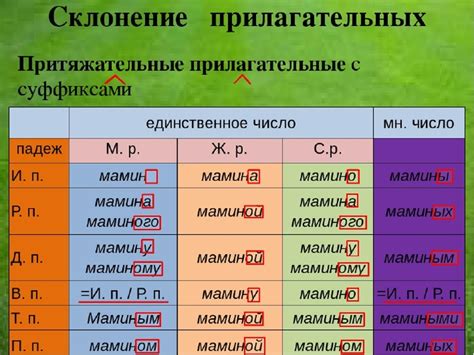 Значение притяжательных прилагательных