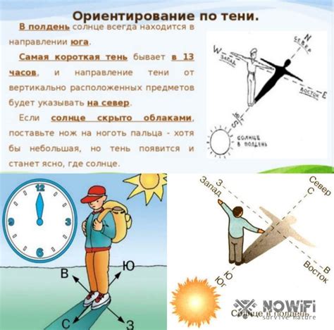 Значение просеки для ориентирования на местности