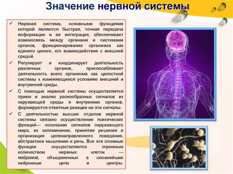 Значение противовоспалительных действий для организма