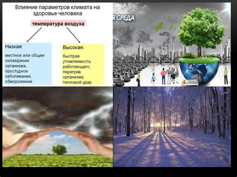 Значение прочной связи с землей: влияние на здоровье и эффективность