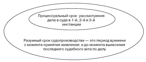 Значение разумного срока в различных сферах