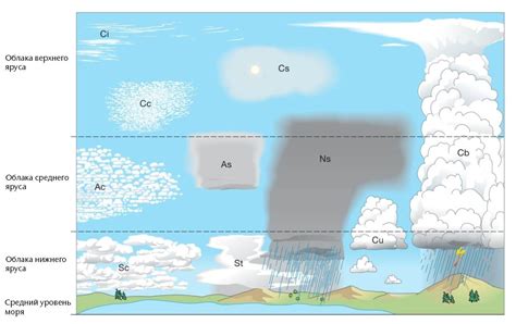 Значение ребристых облаков в метеорологии