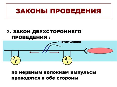 Значение регургитации физиологической для организма