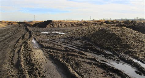 Значение рекультивации земельного участка