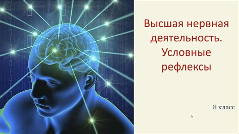 Значение рефлексов в медицине и психологии