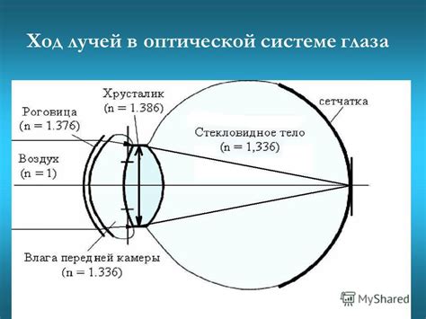 Значение света глаз моих