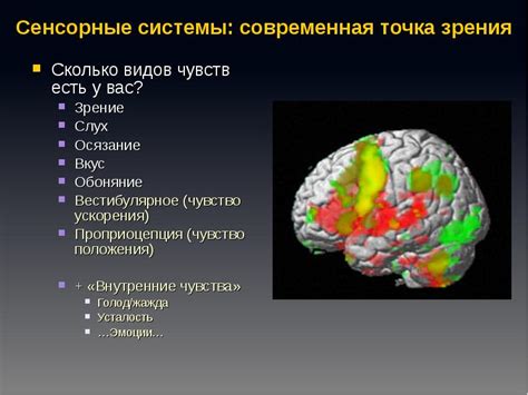 Значение сенсорных нагрузок