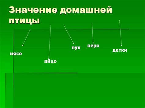 Значение символа домашней птицы в сновидениях женщин