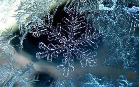 Значение символа снежинки на морозильнике Атлант