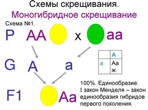 Значение скрещивания с ребром в генетике