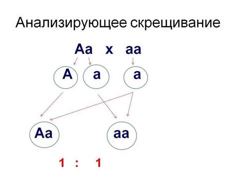 Значение скрещивания шпаги