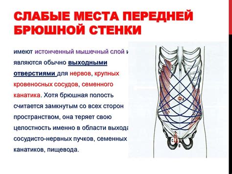 Значение слабых мест в системах