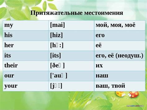 Значение слова "him" на английском языке