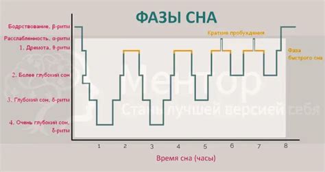 Значение сна: мышка скитается по комнате