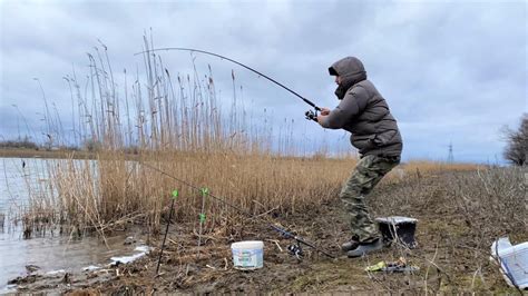 Значение сна: пойманная и вновь освобожденная рыба