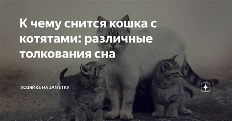 Значение сна с множеством мышей: различные толкования