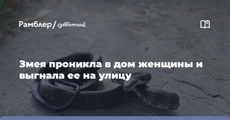 Значение сновидения, в котором змея проникла в дом