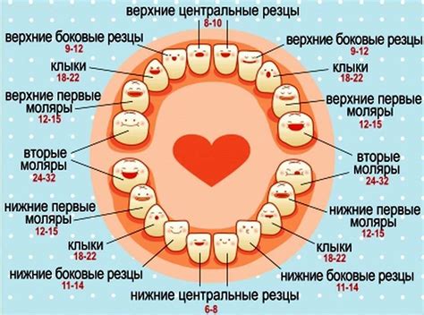 Значение сновидения, где у маленького ребенка появляются новые зубы