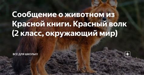 Значение сновидения о мощном животном