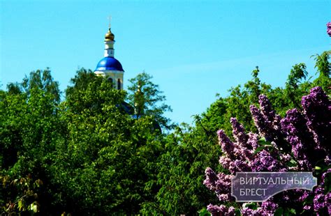 Значение сновидения о потерях в городской суете