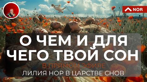 Значение снов о событиях в темное время суток