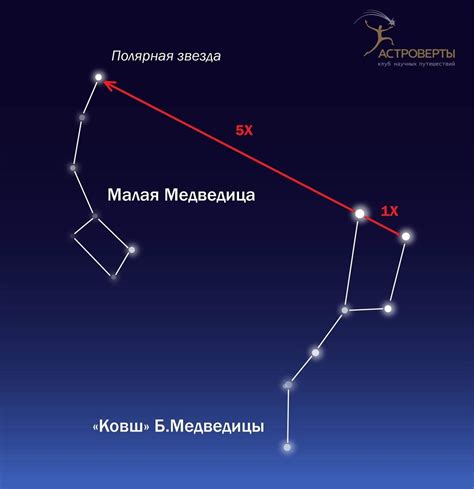 Значение созвездий ковш в астрологии