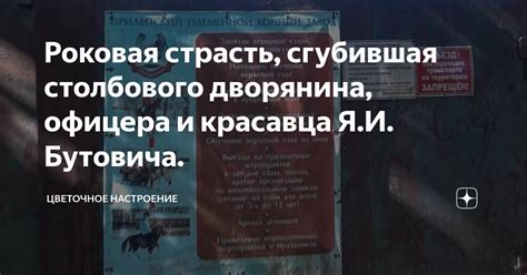 Значение статуса столбового дворянина