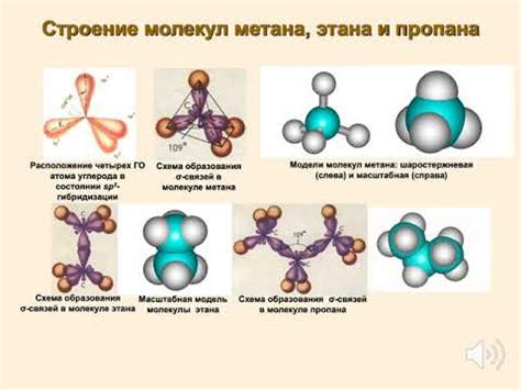 Значение строения молекул