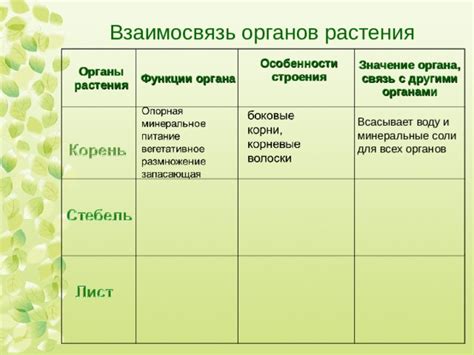 Значение строения органа