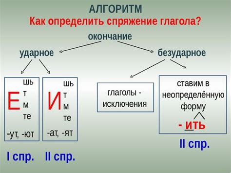 Значение термина "ректально"