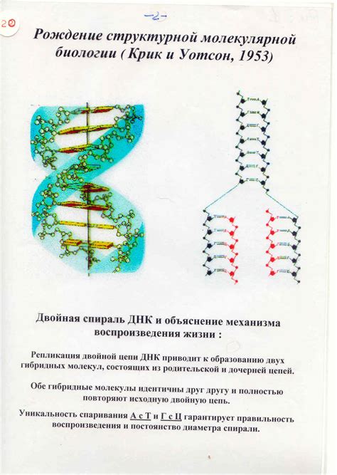 Значение тетраэдрического строения в молекулярной биологии