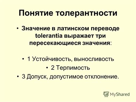 Значение толерантности: общее понятие