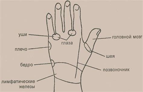 Значение точки под большим пальцем ноги