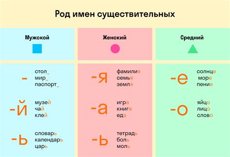 Значение указания рода имен существительных