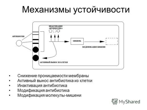 Значение устойчивости антибиотика