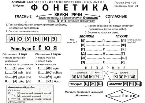 Значение фонетического слога для изучения русского языка