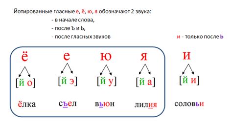 Значение фонетического состава для языка