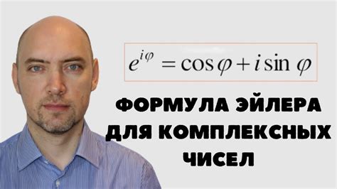 Значение формулы Эйлера в математике и физике