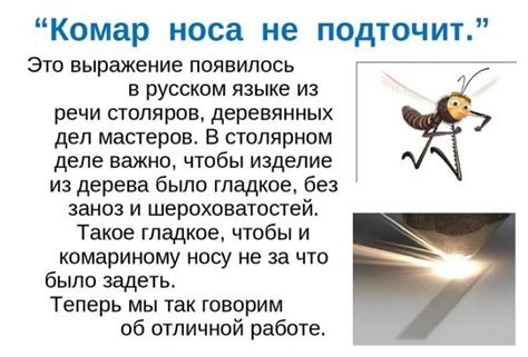 Значение фразы "комар носу не подточит" в повседневной жизни