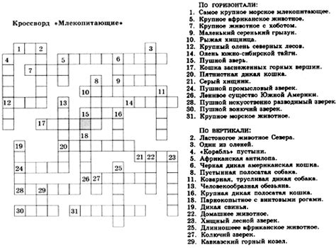 Значение хвоста в современном обществе