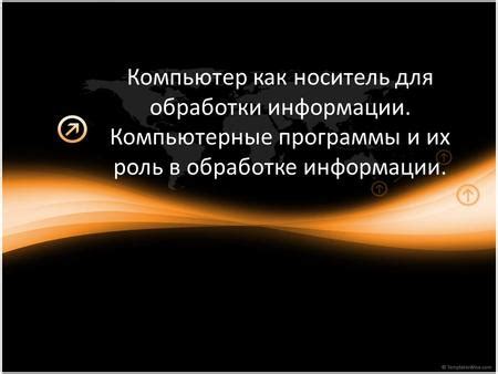 Значение цифр разбора и их роль в обработке информации